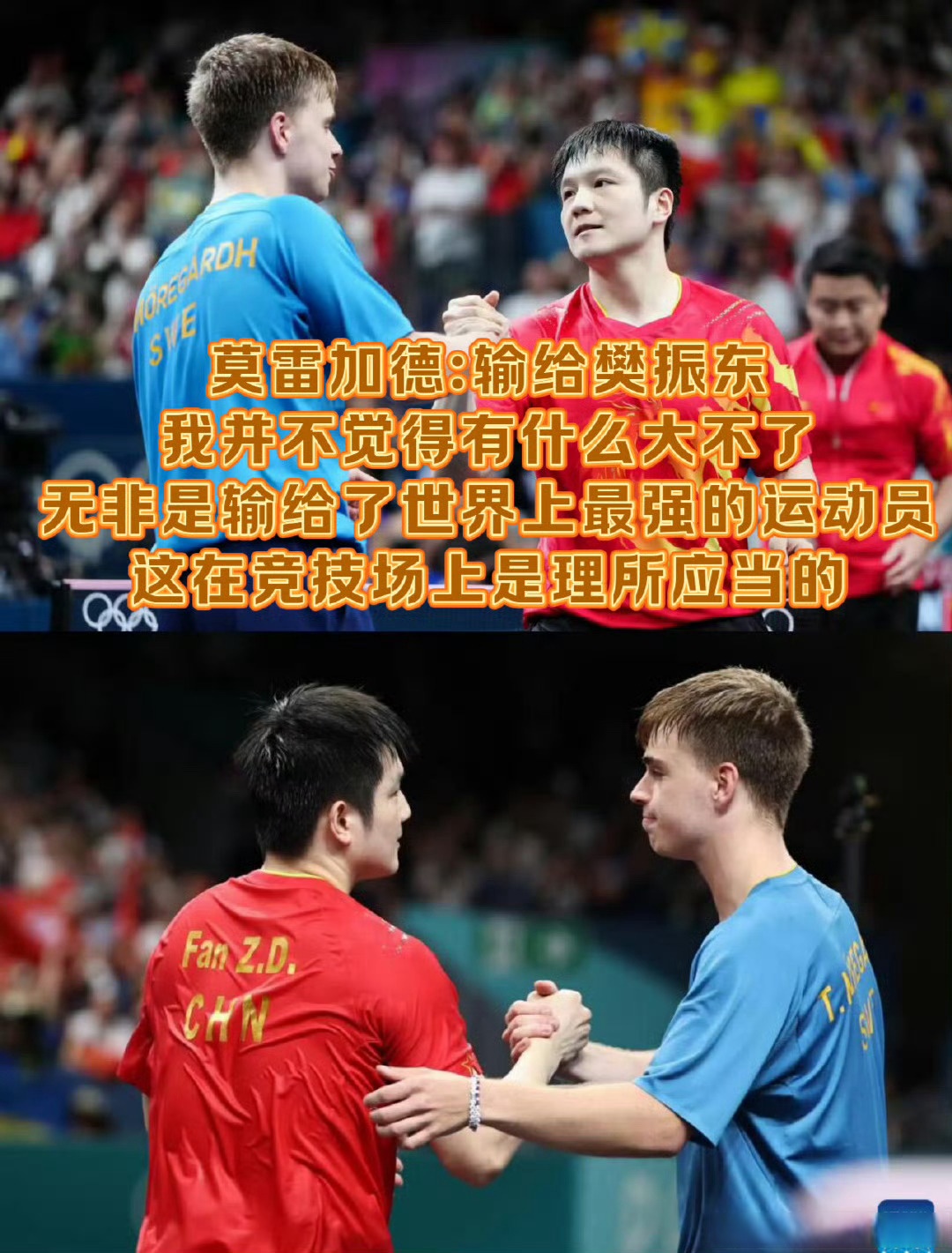 英国乒乓球队完胜中国乒乓球队,樊振东绝境逆转 英国乒乓球队完胜中国乒乓球队,樊振东绝境逆转