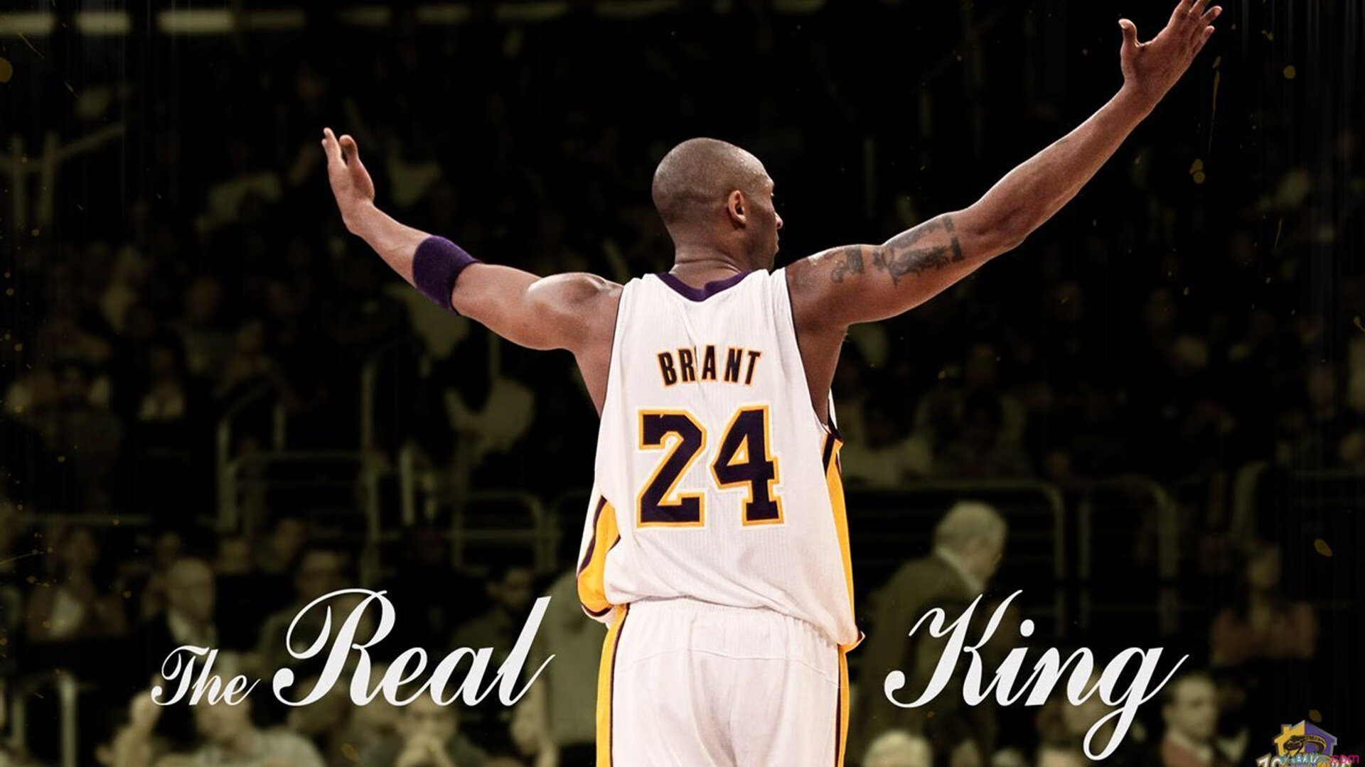 年度焦点之战之夜，德罗赞的冠军级表演